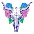 Bull skull and roses, graphic arts