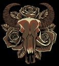 bull skull with roses on her head on black background Royalty Free Stock Photo