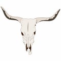 BULL SKULL