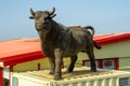 Bull Statue on Roof