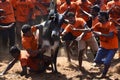 BULL TAMING CONTEST Royalty Free Stock Photo