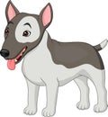 Bull Terrier dog breed Royalty Free Stock Photo
