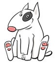 Bull terrier dog cartoon animal character