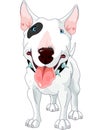 Bull Terrier