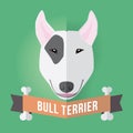 Bull Terrier