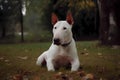 Bull Terrier - Originating from England (Generative AI)