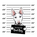 Bull terrier prisoner. Police placard, Police mugshot, lineup. Arrest photo. Photo offender. Vector.