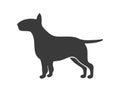 Bull terrier silhouette. Black dog outline, what pet, vector icon Royalty Free Stock Photo