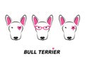 Bull terrier vector illustration. Cute dogs faces Royalty Free Stock Photo