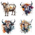 bull watercolor illustration set Royalty Free Stock Photo