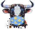 Watercolor illustration of black bull with white spot in protective mask Royalty Free Stock Photo