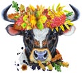 Watercolor illustration of black bull with white spot in a wreath of autumn leaves