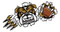 Bulldog American Football Sports Mascot