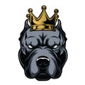 Bulldog Annimal head Crown Ring logo icon vector illustration