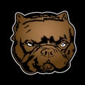 Bulldog Annimal head logo icon on background black vector illustration