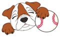 Bulldog with baseball ball Royalty Free Stock Photo