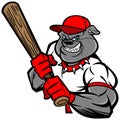 Bulldog Baseball Player Royalty Free Stock Photo