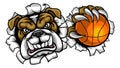 Bulldog Basketball Sports Mascot Royalty Free Stock Photo