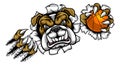 Bulldog Basketball Sports Mascot Royalty Free Stock Photo