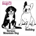 Bulldog And Bernese Mountain Dog Puppy Sitting. Drawing By Hand, Sketch. Engraving Style, Black And White Vector Image.