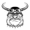 Bulldog in a biker helmet. Vector illustration of a sketch popular animal cartoon. Angry animal. domestic pet