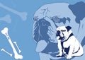 Bulldog and bones Royalty Free Stock Photo