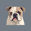 Cute Bulldog Cartoon Vector Illustration On Gray Background