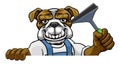 Bulldog Car Or Window Cleaner Holding Squeegee