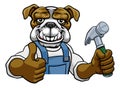 Bulldog Carpenter Handyman Builder Holding Hammer Royalty Free Stock Photo