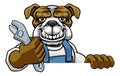 Bulldog Plumber Or Mechanic Holding Spanner