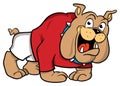 Bulldog cartoon illustration Royalty Free Stock Photo