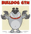 Bulldog Cartoon Mascot Character With Sunglasses Working Out With Dumbbells Royalty Free Stock Photo