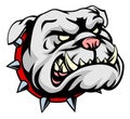 Bulldog Cartoon Mascot Royalty Free Stock Photo