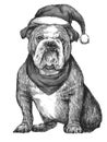 Bulldog with christmas hat