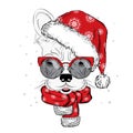 Bulldog in a Christmas hat and sunglasses. Cute puppy. Pedigree dog. W Royalty Free Stock Photo