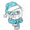 Bulldog in a Christmas hat and sunglasses. Cute puppy. Pedigree dog. W Royalty Free Stock Photo