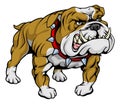 Bulldog clipart illustration