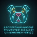 Bulldog cute kawaii neon light character