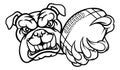 Bulldog Dog American Football Ball Sports Mascot