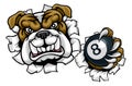 Bulldog Dog Angry Pool Billiards Mascot Cartoon Royalty Free Stock Photo