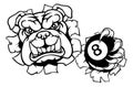 Bulldog Dog Angry Pool Billiards Mascot Cartoon Royalty Free Stock Photo