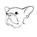 Bulldog dog animal french vector illustration pet breed cute drawing puppy