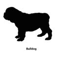 Bulldog dog breeds vector silhouettes set Royalty Free Stock Photo