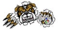 Bulldog sports Gamer Mascot