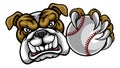 Bulldog Dog Holding Baseball Ball Sports Mascot Royalty Free Stock Photo