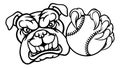 Bulldog Dog Softball Baseball Ball Sports Mascot Royalty Free Stock Photo