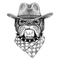 Bulldog, dog wearing cowboy hat. Wild west animal. Hand drawn image for tattoo, emblem, badge, logo, patch, t-shirt