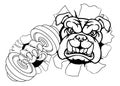 Bulldog Dog Weight Lifting Dumbbell Gym Mascot