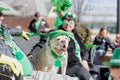 Bulldog dressed up in green costume for St. Patrick`s Day