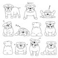 Bulldog elements line drawing